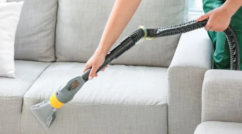 Skuteczne sposoby na pozbycie się zapachu moczu kota z kanapy