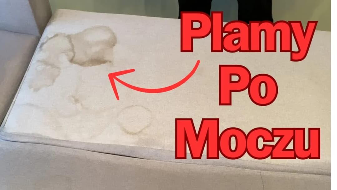 Skuteczne sposoby na usunięcie starych plam z moczu na kanapie